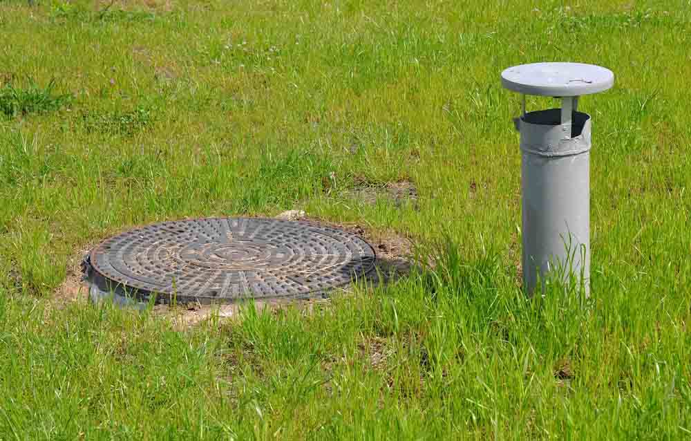 landscaping around septic system