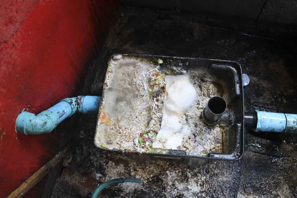 grease trap additive bottle